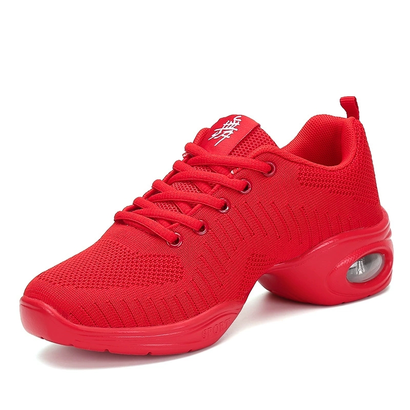 Atmungsaktive Mesh-Tanzsneaker – Women'S Zumba Shoes Bewertung und Preis